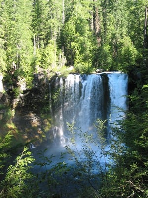 McKenzie Pass by null