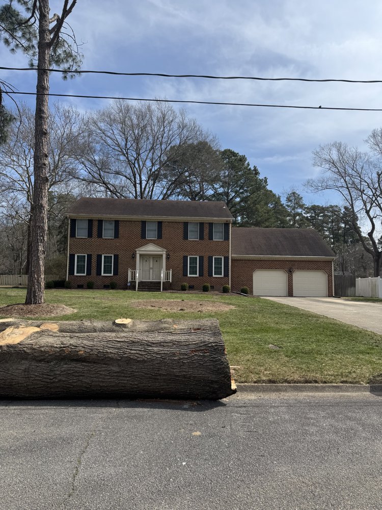 Chesapeake Bay Tree - tree service in Chesapeake, VA