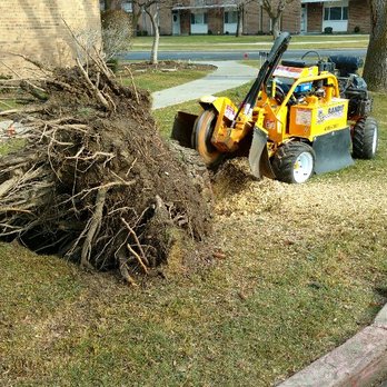 All Around Tree Care - Addressing the stump for removal - Tree Services Near Me All Around Tree Care - Addressing the stump for removal - Tree Services Near Me