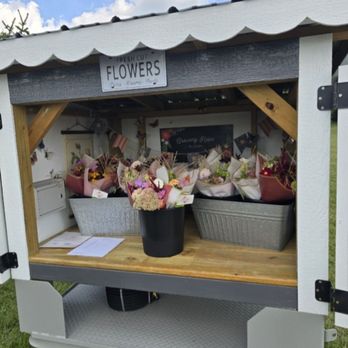 Growing Hope Blooms - Growing Hope Blooms roadside flower cart (open seasonally) - Florists Near Me - Sheridan, Indiana Growing Hope Blooms - Growing Hope Blooms roadside flower cart (open seasonally) - Florists Near Me - Sheridan, Indiana