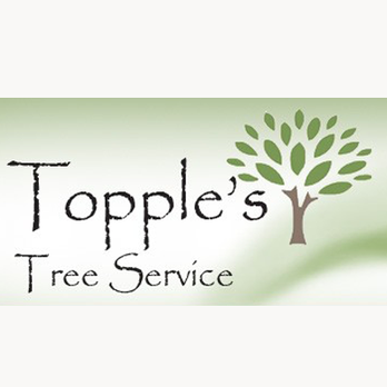 Topple's Tree Service - Tree Services Near Me - Genoa City, Wisconsin Topple's Tree Service - Tree Services Near Me - Genoa City, Wisconsin