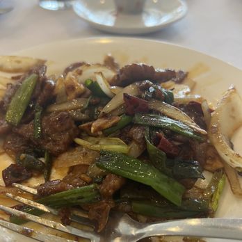 Shan Shan Low Restaurant - Mongolian Beef - Chinese Near Me - Concord, California Shan Shan Low Restaurant - Mongolian Beef - Chinese Near Me - Concord, California