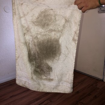 MOTEL 6 - More filth - Hotels Near Me - Spring Hill, Florida