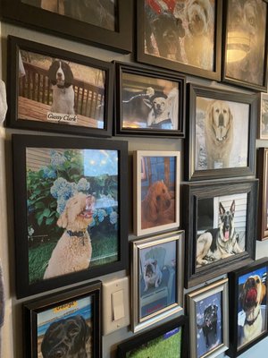 Dog Watch Cafe by null