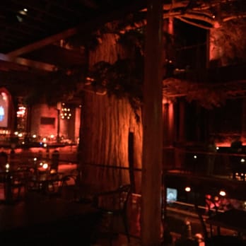 Clifton's Republic - Cool tree inside a bar! - Bars Near Me - Los Angeles, California