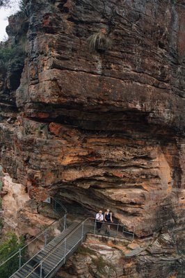 Blue Mountains National Park by null