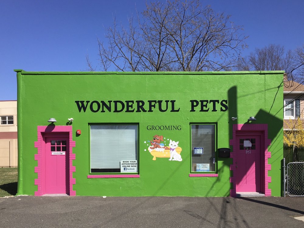 WONDERFUL PETS GROOMING Updated August 2024 23 Photos & 15 Reviews