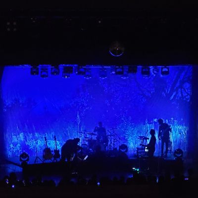 Boulder Theater by null