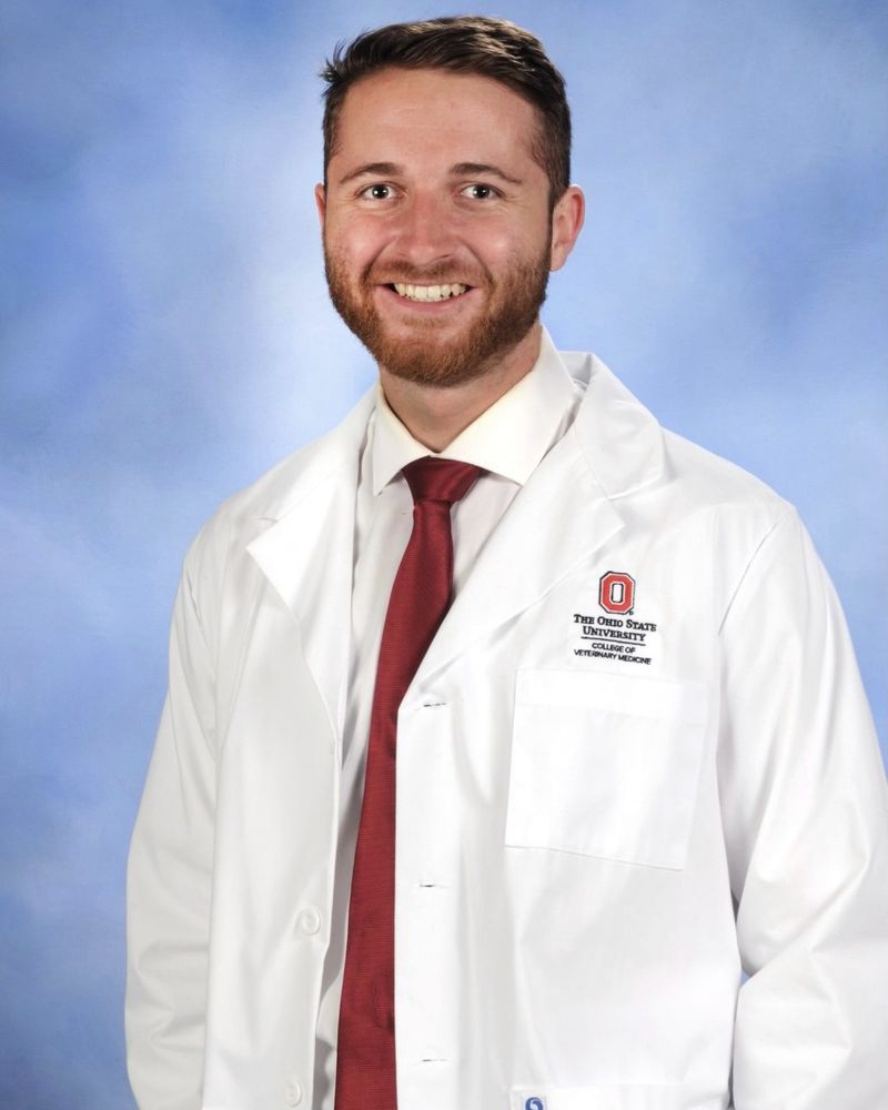 NORTH KENNY VETERINARY HOSPITAL Updated September 2024 71 Photos