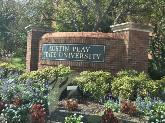 Austin Peay State University by null
