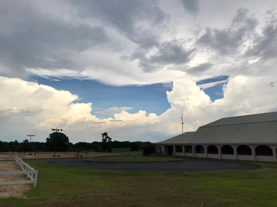 PINK CROWN FARM Updated October 2024 5781 Fm 2879, Longview, Texas