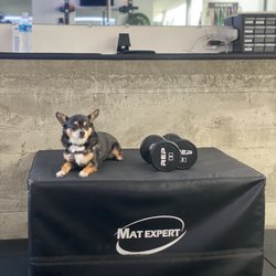 A7 Personal Training - Dogs are welcome!