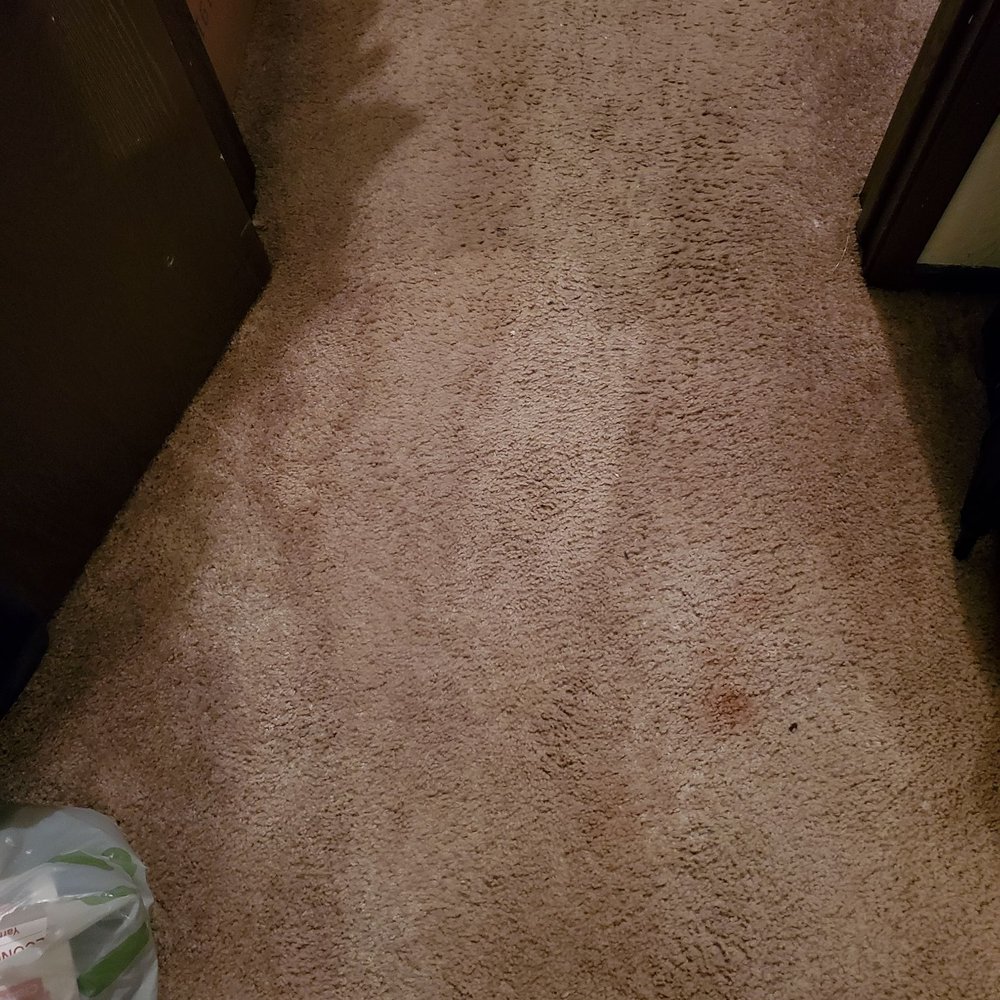 Jb Carpet Cleaning Solutions - This is the spot I showed him I had. You can see we're he tried to scrub that spot and the other streaks. - Carpet Cleaning Near Me Jb Carpet Cleaning Solutions - This is the spot I showed him I had. You can see we're he tried to scrub that spot and the other streaks. - Carpet Cleaning Near Me
