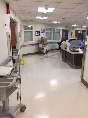 Harborview Medical Center by null