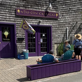 Wild Cow Creamery - Wild Cow - Ice Cream & Frozen Yogurt Near Me - Belfast, Maine Wild Cow Creamery - Wild Cow - Ice Cream & Frozen Yogurt Near Me - Belfast, Maine