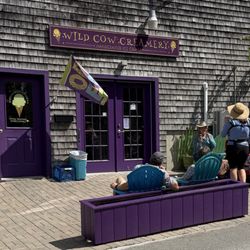 Wild Cow Creamery - Wild Cow