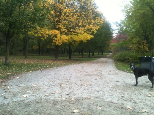 David A. Balfour Park by null