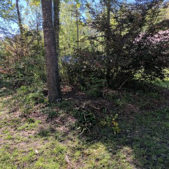 Moore Landscaping & Tree Service - a view of the back yard - Landscaping Near Me - Myrtle Beach, South Carolina