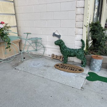 Pressed + Flower - Dog friendly - Coffee & Tea Near Me - Azusa, California Pressed + Flower - Dog friendly - Coffee & Tea Near Me - Azusa, California