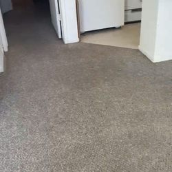 Conder Carpet Cleaning - After