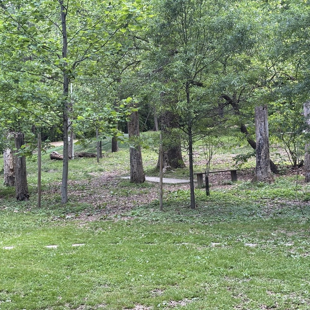 Bluemont Park Disc Golf Course - Shot of the course - Disc Golf Near Me - Arlington, Virginia