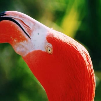 Temaiken - Zoos Near Me - Escobar, C