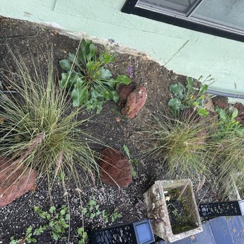 Go Panorama Landscaping - Another part of the front yard that was revamped - Landscaping Near Me - San Jose, California Go Panorama Landscaping - Another part of the front yard that was revamped - Landscaping Near Me - San Jose, California