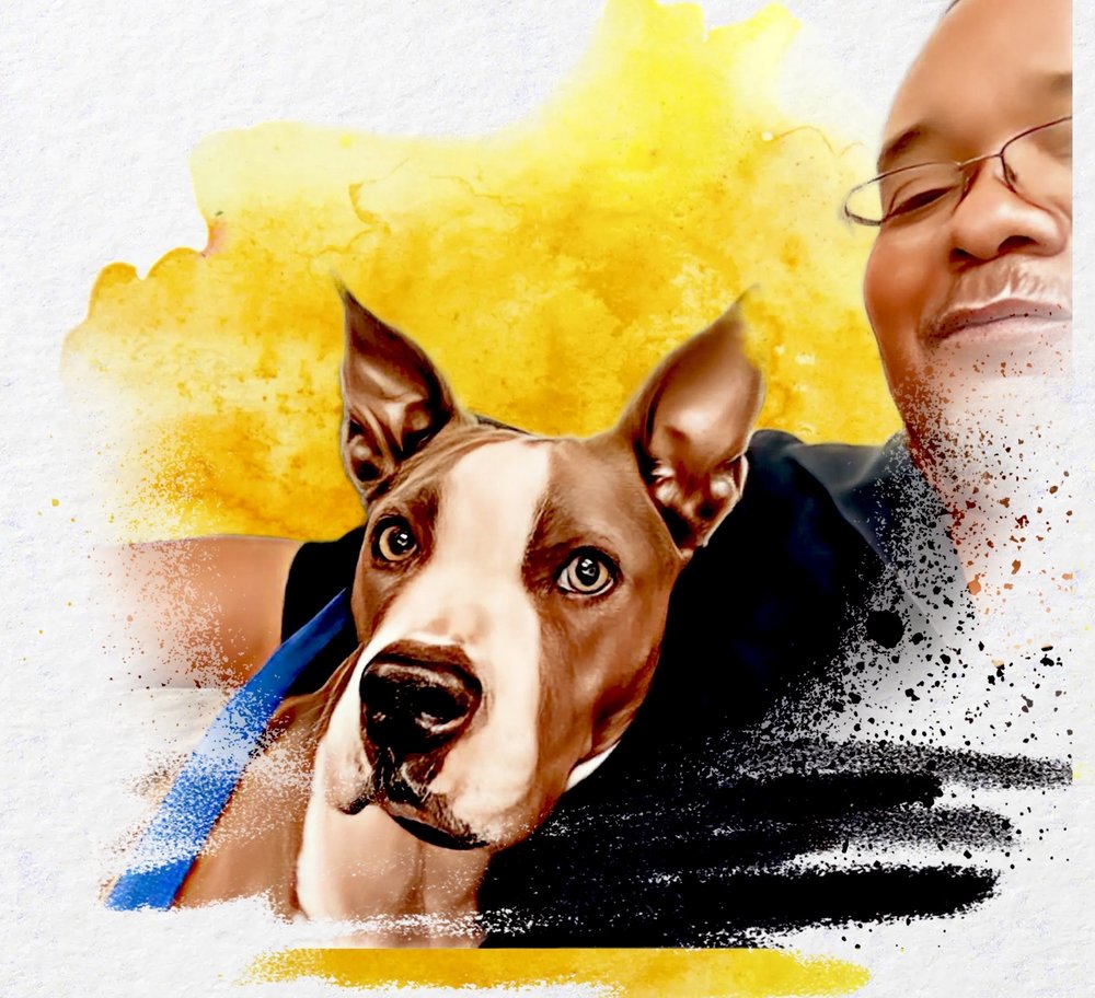 ANIMAL EMERGENCY HOSPITAL OF MANSFIELD 44 Photos & 99 Reviews 301