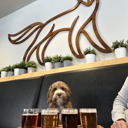 Venn Brewing
