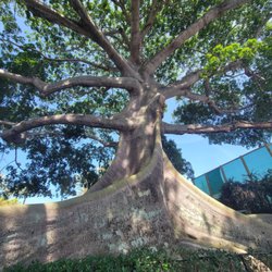 Royal Poinciana Chapel