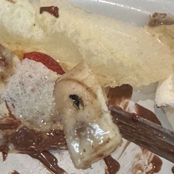 Voila Merci - Bug on the banana in my crepe - Bakeries Near Me - Indian Shores, Florida Voila Merci - Bug on the banana in my crepe - Bakeries Near Me - Indian Shores, Florida