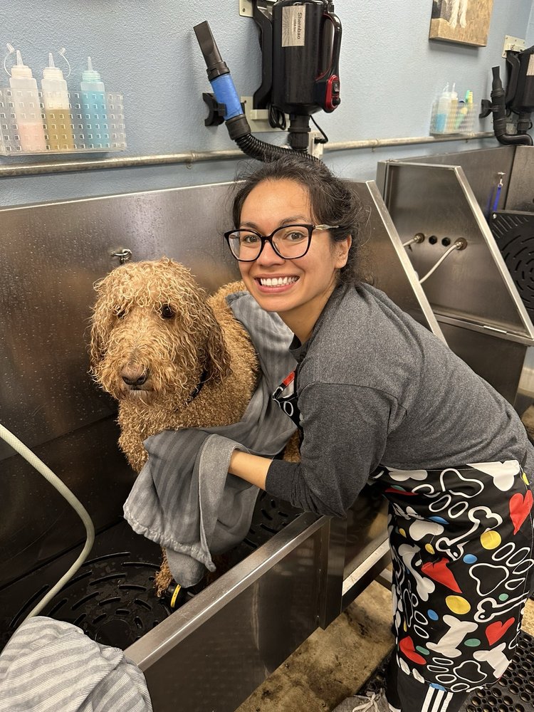 SHAMPAWS SELF SERVE DOG WASH Updated September 2024 178 Photos