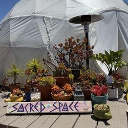 Trilogy Sanctuary - Dome tent for classes
