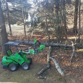 Leafing Out Landscapes - Tree Services Near Me Leafing Out Landscapes - Tree Services Near Me