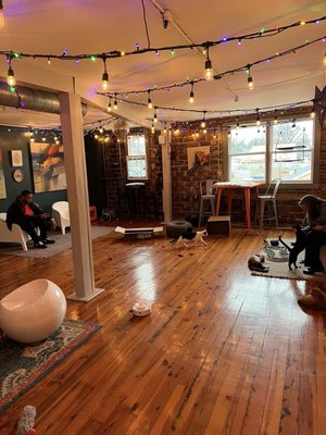 Mac Tabby Cat Cafe - Charlotte by null