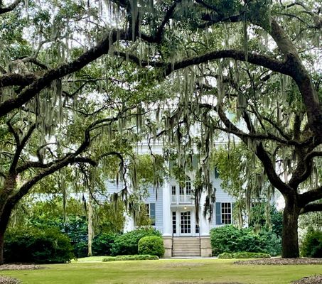 McLeod Plantation Historic Site by null