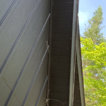 Rose Pest Solutions - Traverse City - After Rose Pest Solutions service... - Pest Control Near Me - Traverse City, Michigan Rose Pest Solutions - Traverse City - After Rose Pest Solutions service... - Pest Control Near Me - Traverse City, Michigan