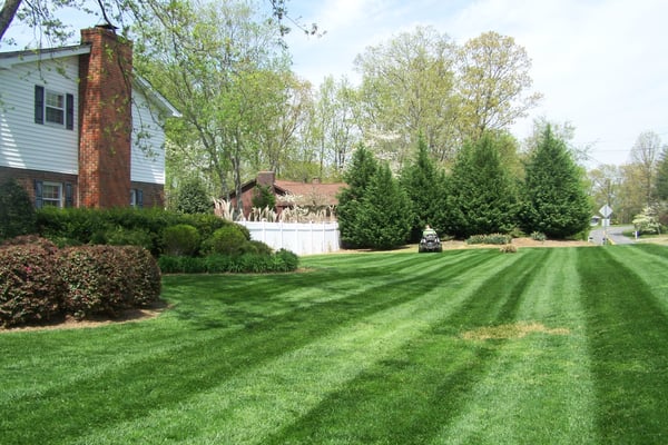 Aaa Lawn Care