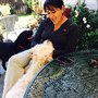 Photo of Paradise For Your Pets