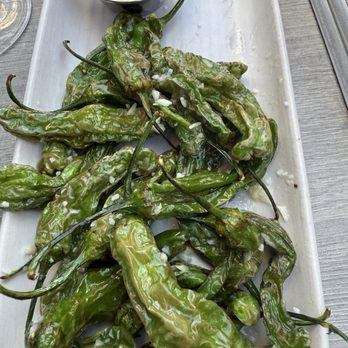 Danville Brewing - Shishito Peppers - Breweries Near Me - Danville, California