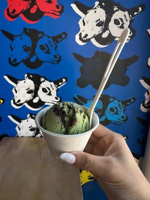 Humphry Slocombe Dogpatch by null