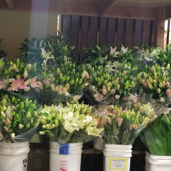 A Martinez Flowers - Wholesale Stores Near Me - SAN BERNARDINO, California A Martinez Flowers - Wholesale Stores Near Me - SAN BERNARDINO, California