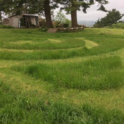 Forest Lakes Nursery - The mad maze marauder mows again.