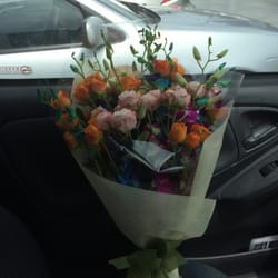 In Bloom