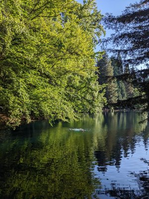 Laurelhurst Park by null