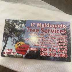 Ic Maldonado Tree Services - Maldonado tree service  Israel (832) 614 -5937