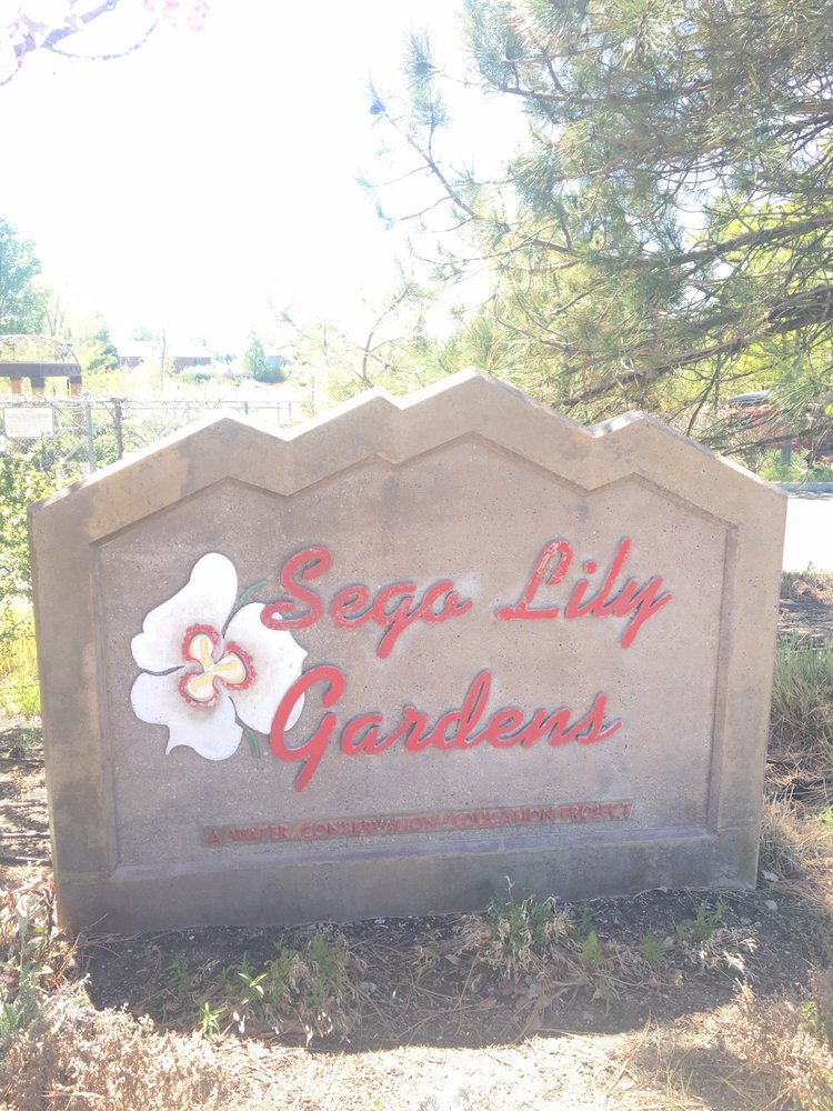 SEGO LILY GARDENS Updated October 2024 1472 Sego Lily Dr, Sandy