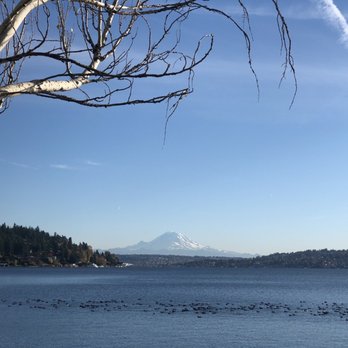 Seward Park - Hiking Near Me - Seattle, Washington