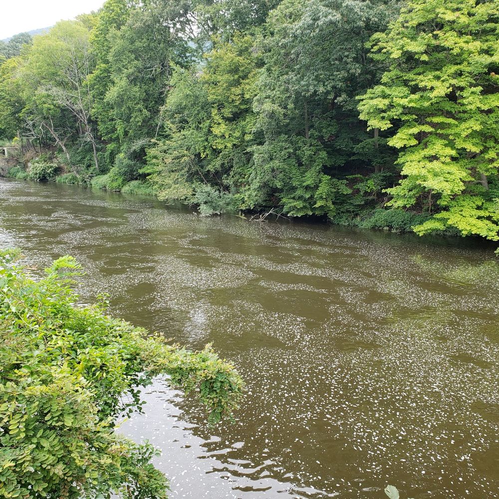 Madam Brett Park - Fishkill Creek - Parks Near Me - Beacon, New York Madam Brett Park - Fishkill Creek - Parks Near Me - Beacon, New York