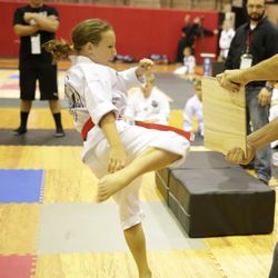 Grandmaster Won's Taekwondo - 2017 Tournament: Breaking